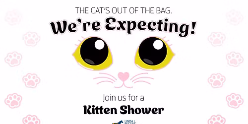 Kitten Shower at Linda L. Kelley Animal Shelter
