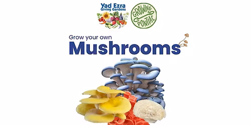 Grow Your Own Mushrooms Workshop