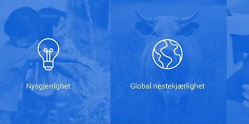 Weekly lunch at Frederikke