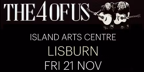 ISLAND ARTS CENTRE, Lisburn