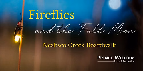 Fireflies and the Full Moon