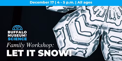 Family Workshop: Let It Snow! (All ages)