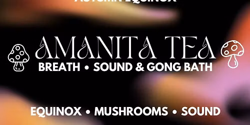 Equinox Amanita Tea | Sound & Gong Bath