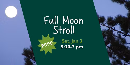 Full Moon Stroll