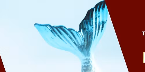 TAMS Drama Club Presents: The Little Mermaid Jr