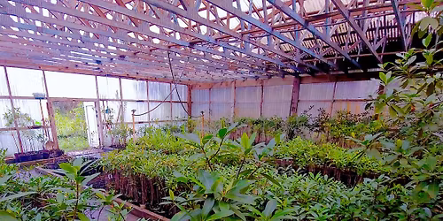 Mangrove Workshop - Sebastian Nursery