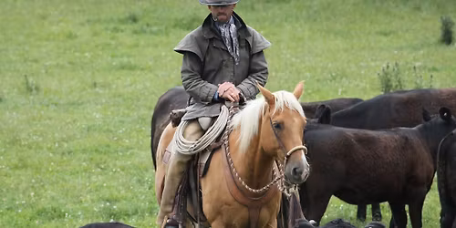 Horsemanship & Cattleworking Clinic: Northland, New Zealand