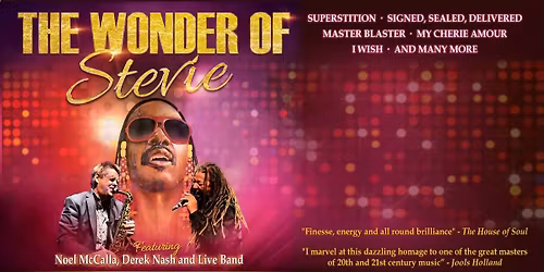 THE WONDER OF STEVIE