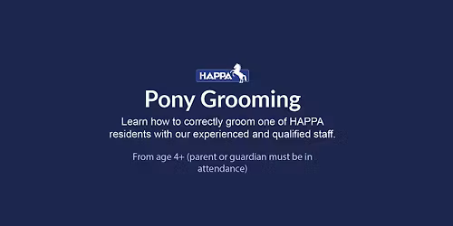 Pony Grooming Experience 