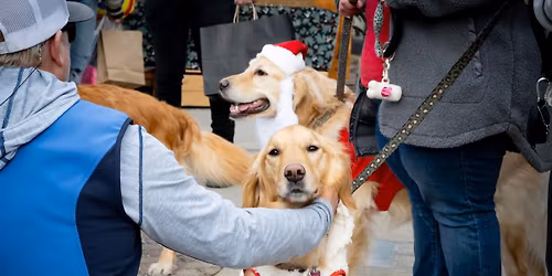 \ud83d\udc3e Pooch Portraits with Santa \ud83c\udf85