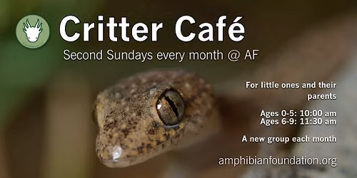 Critter Caf\u00e9 - 6-9