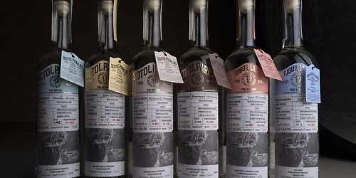 Parejo Sotol Spirit Society at Seven Grand Austin