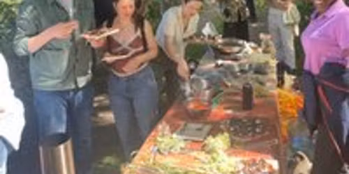 Wild Food & Fungi Forage: Bastille day special ratatouille