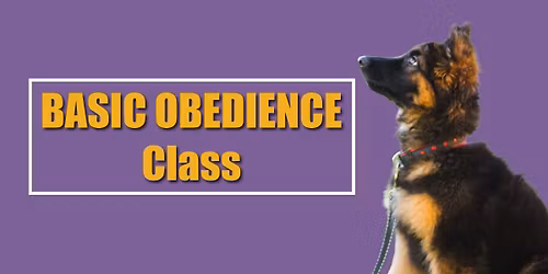 Basic Obedience Class