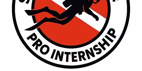Pro Internship