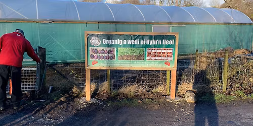 Spring open day & plant sale