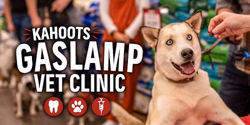 Low Stress Vet Clinic & Teeth Cleaning