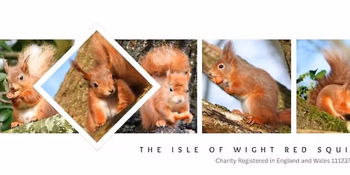 The Island Highland Gathering - Isle of Wight Red Squirrel Trust Stall