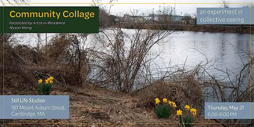 Community Collage - An Experiment in Collective Seeing