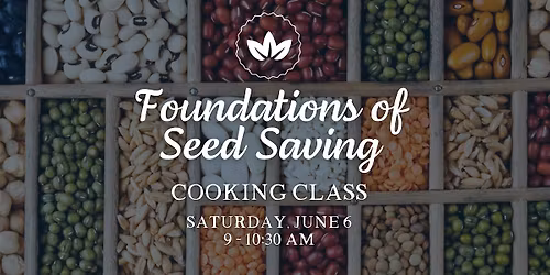 Foundations of Seed Saving