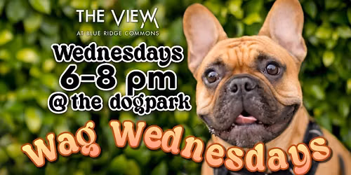 Wag Wednesdays