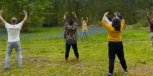 Wild Workouts: Qigong