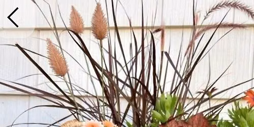 Whimsical Outdoor Fall Planters