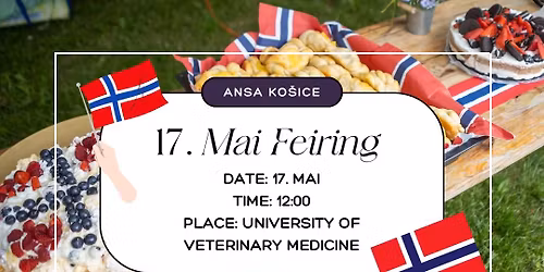 17. mai feiring m\/ ANSA Kosice