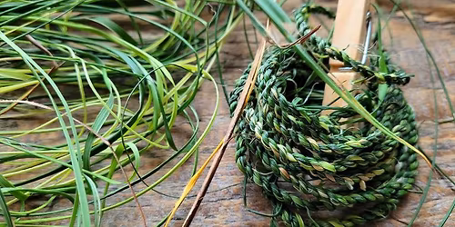Forage and Make Cordage from Garden Plants