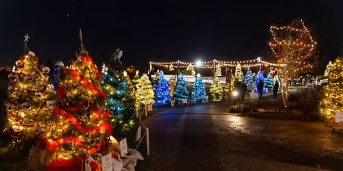 2025 Festival of Lights Opening Ceremony