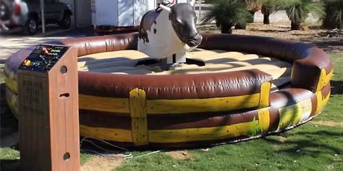Bucking Bronco at the Bush II