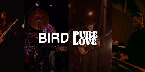 BIRDsessions x The Pure Love Collective