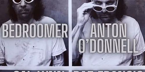 Baz Francis (solo) live at The Bee\u2019s Mouth, Hove