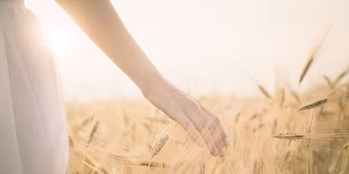 \ud83c\udf38 Atelier : \u00ab Cl\u00f4turer l\u2019Ann\u00e9e, Ouvrir un Nouveau Cycle \u00bb