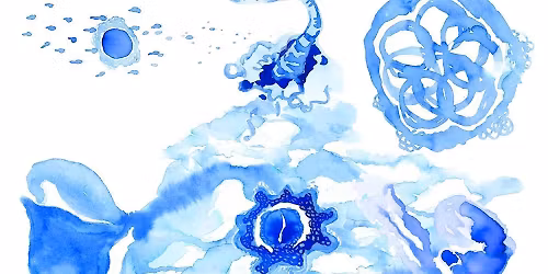 Oslo Body-Mind Centering\u00ae: Embodied Embryology workshop, Oslo, Nov 21-23, 2025