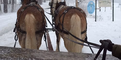 Sleigh\/Hay Rides