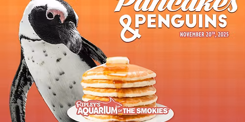 Pancakes & Penguins