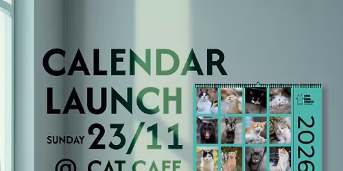 Nine Lives Greece 2026 Calendar Launch