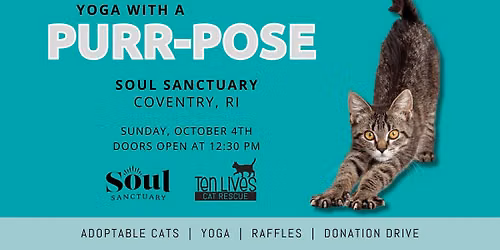 Yoga with Purr-pose: a Ten Lives Cat Rescue Fundraiser