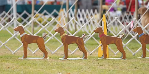 SAVE THE DATES for the June 2026 Greenwich Specialties!