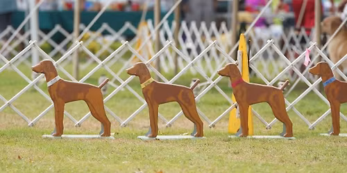 SAVE THE DATES for the June 2026 Greenwich Specialties!