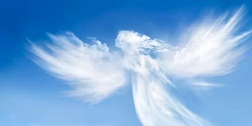 Mina J. - Angels Card Reader