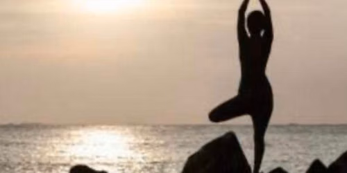 Somatic Yoga Exploration