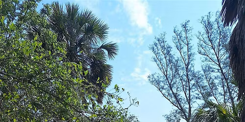 Island Restoration Day with Tampa Bay Aquatic Preserves