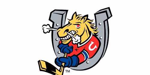 Barrie Colts vs. Erie Otters