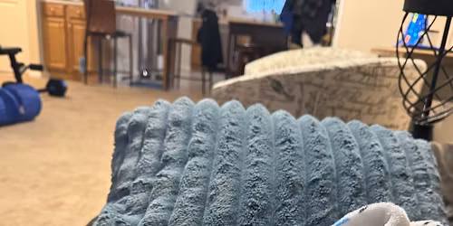 Vet Clinic with Dr Prange