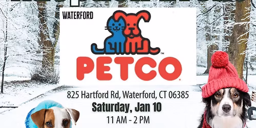 Adoption Event at Petco, Waterford