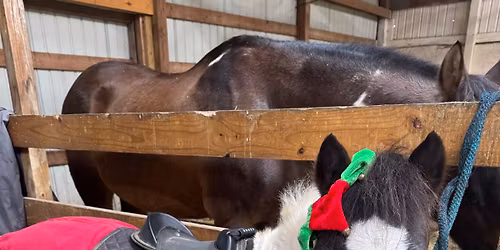 Post a Letter to Santa from a Pony