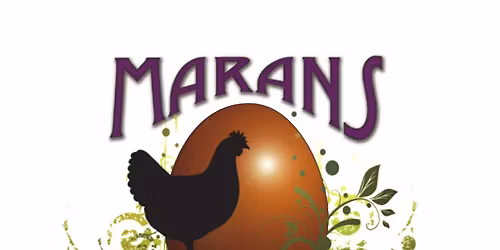 Dayton Fancy Feather Club Spring Show