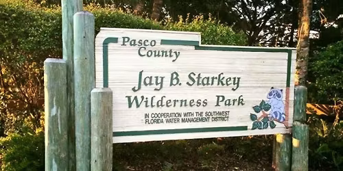 LET'S CHECK OUT 3 MILE HIKE AT J.B. STARKEY WILDERNESS PARK,